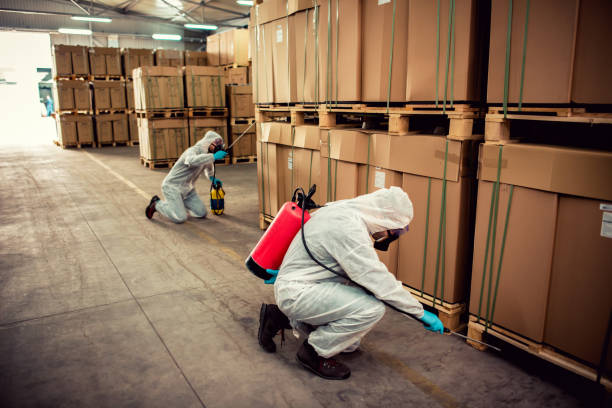 Best Best Pest Control Companies  in Village Of Oak Creek, AZ