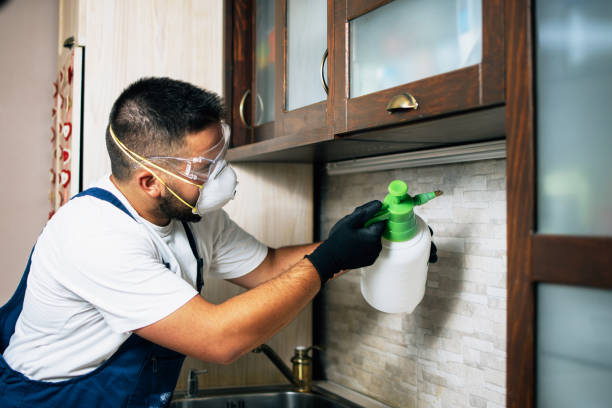 Best Cockroach Control Services  in Village Of Oak Creek, AZ