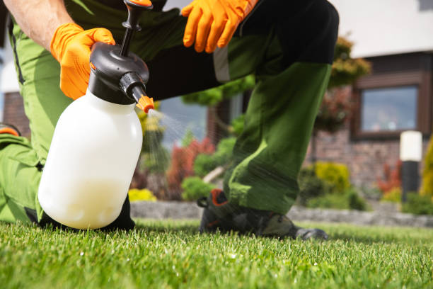 Best Wasp Removal Services  in Village Of Oak Creek, AZ