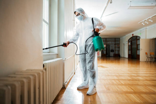 Best Termite Control Services  in Village Of Oak Creek, AZ